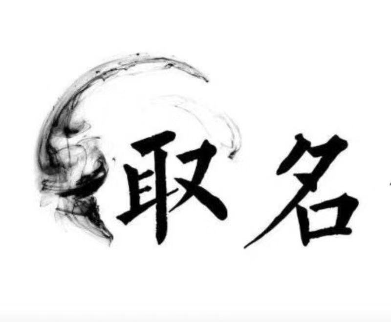  铁锋宝宝取名 大师一对一人工起名