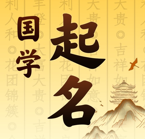 铁锋国学起名 人工起名一对一
